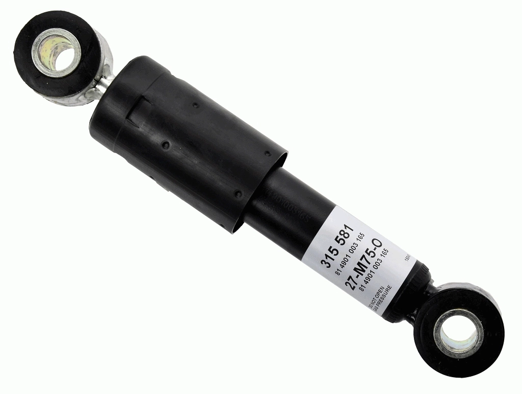 315581 Sachs