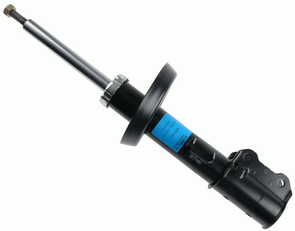 313315 Sachs