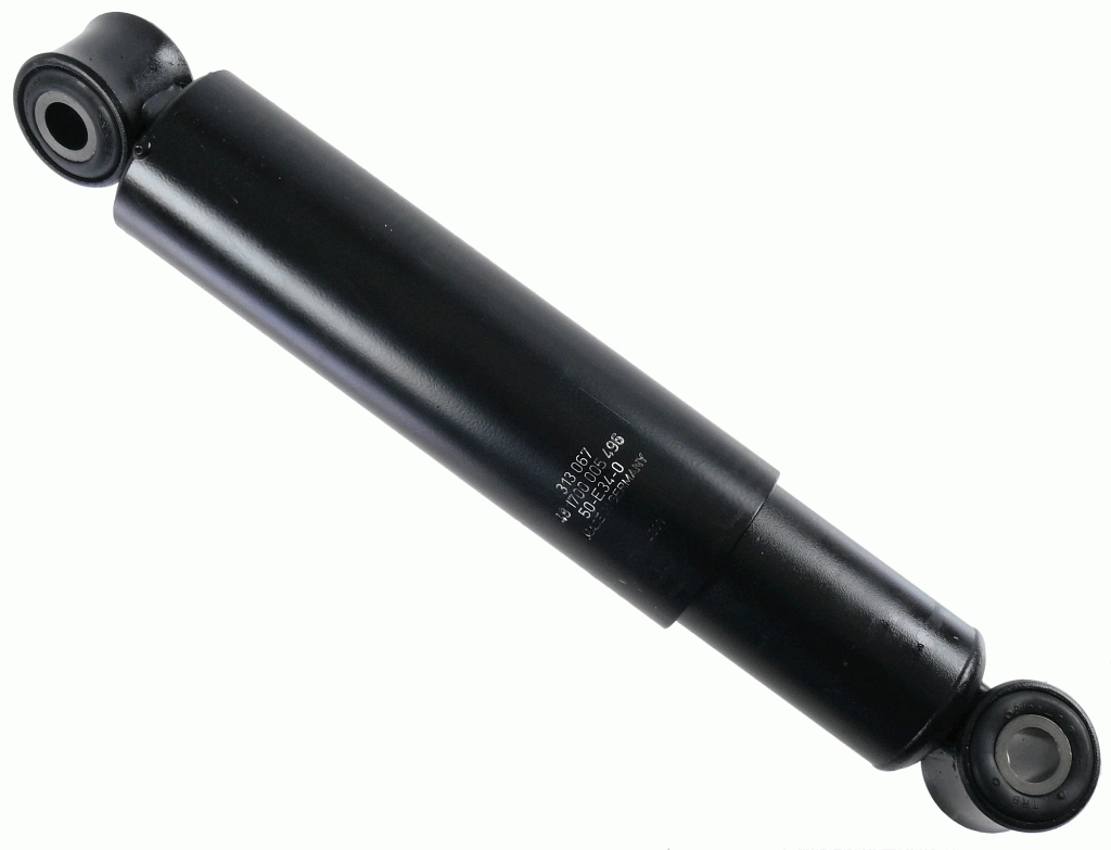 313067 Sachs