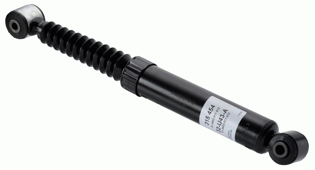 315454 Sachs