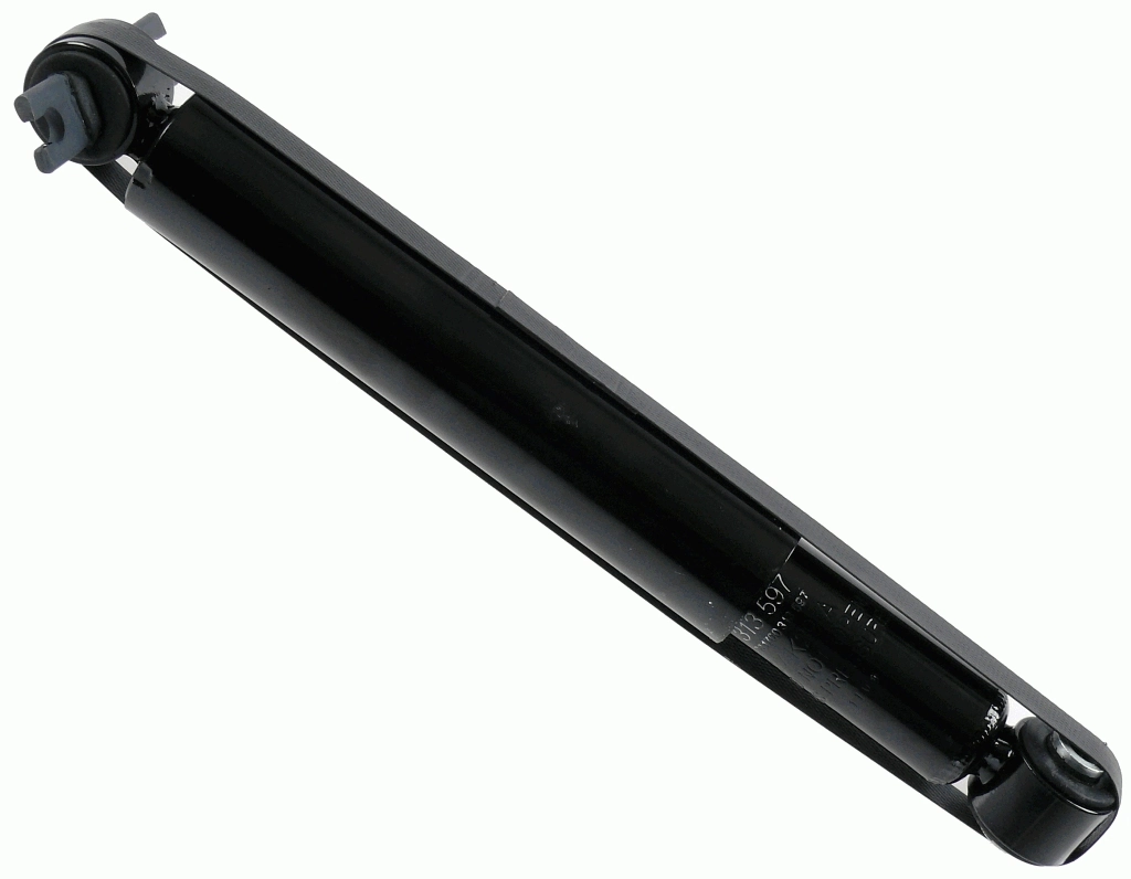313597 Sachs