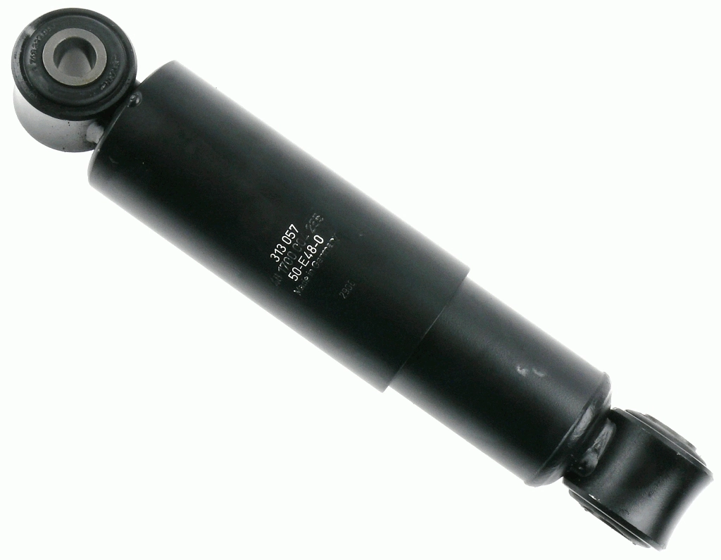 313057 Sachs