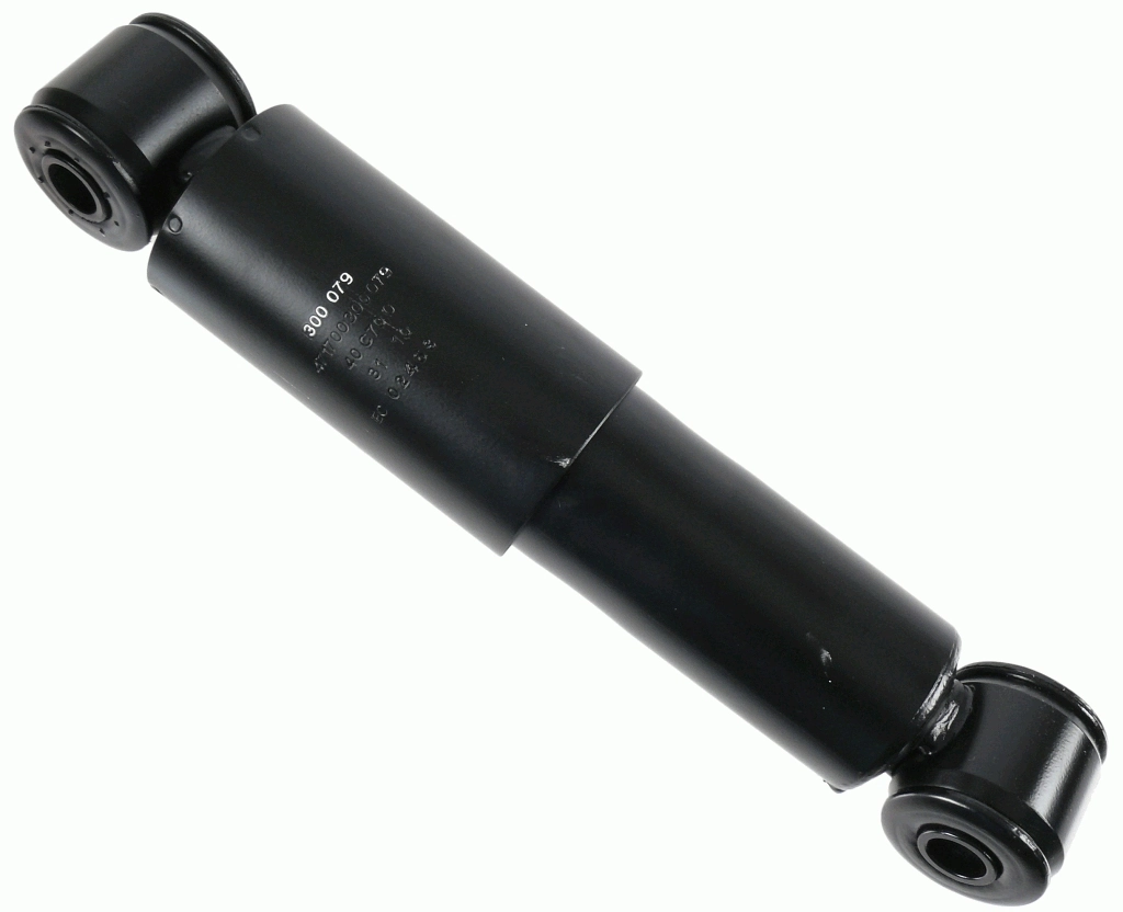 300079 Sachs