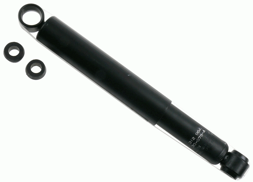 312964 Sachs