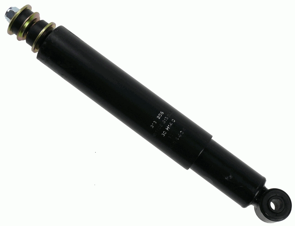 313206 Sachs