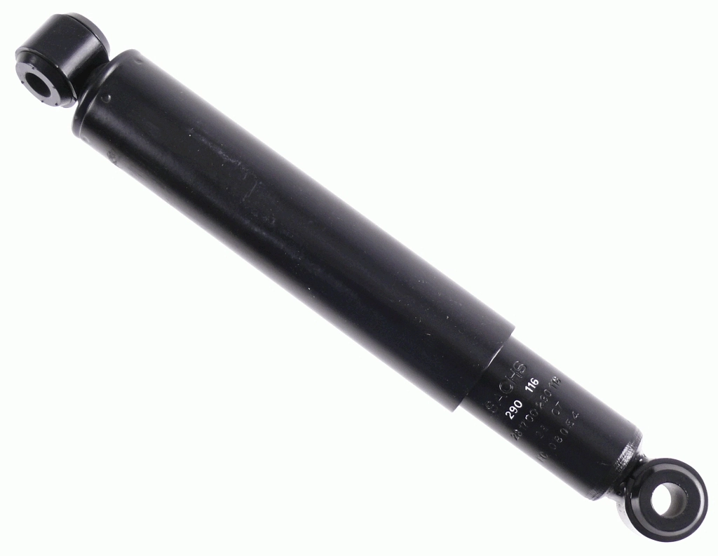 290116 Sachs
