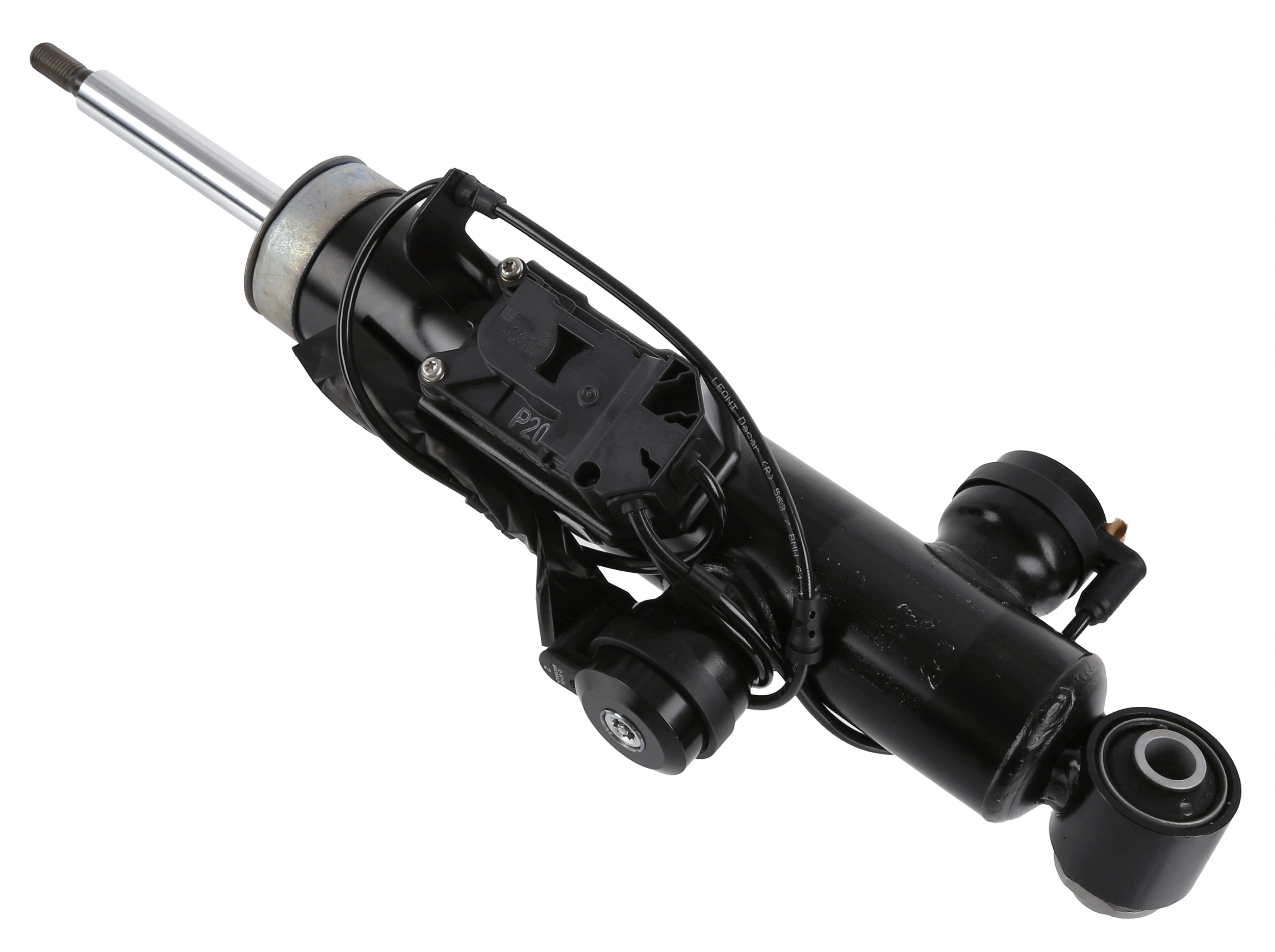 319055 Sachs