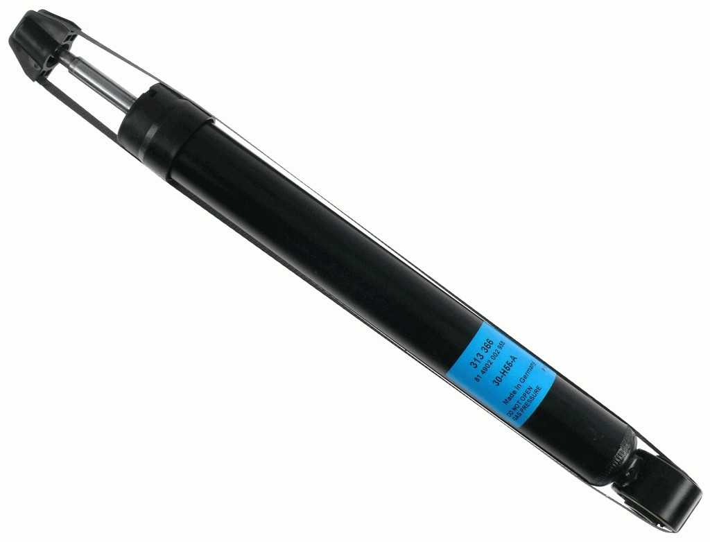 313366 Sachs