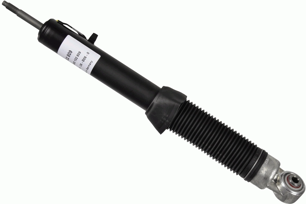 102809 Sachs