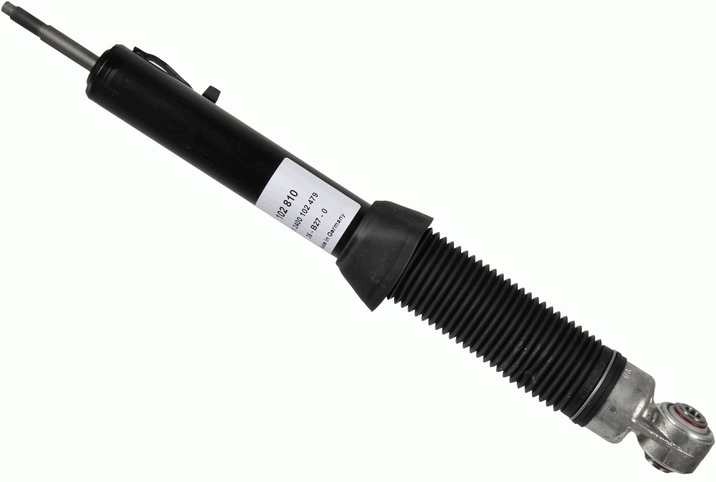 102810 Sachs