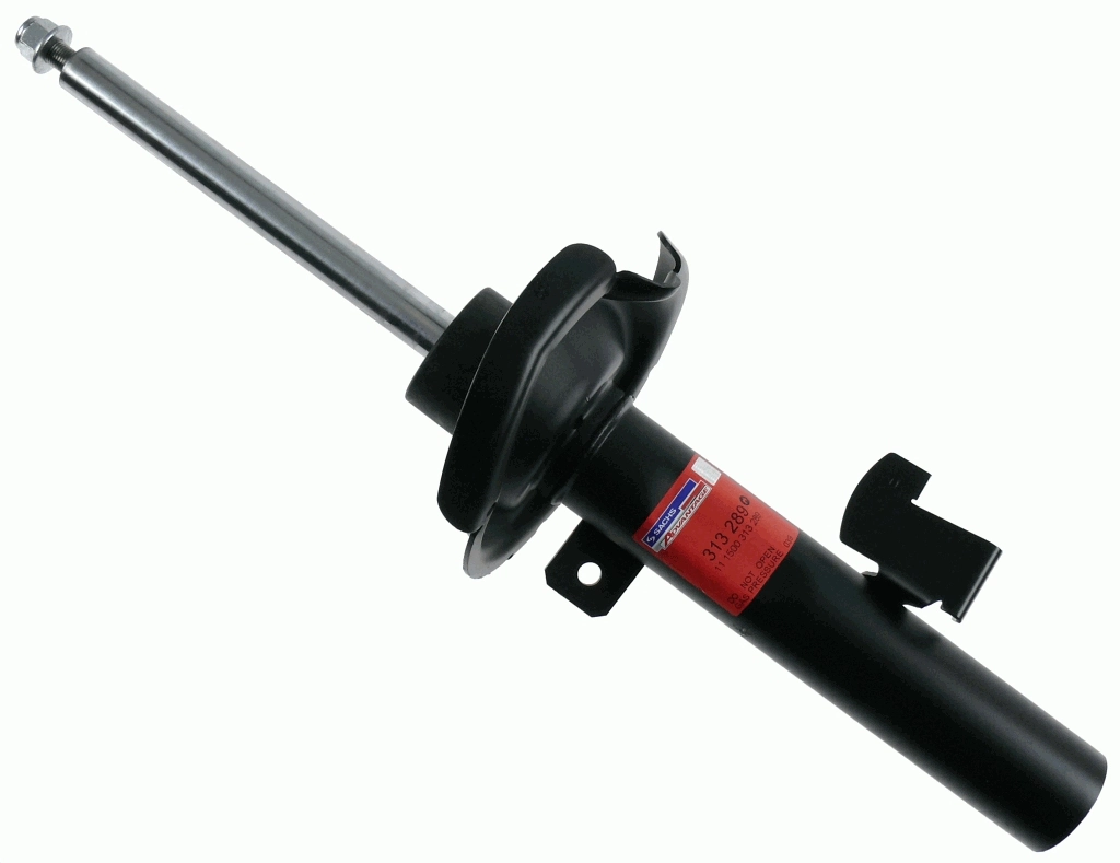 313289 Sachs