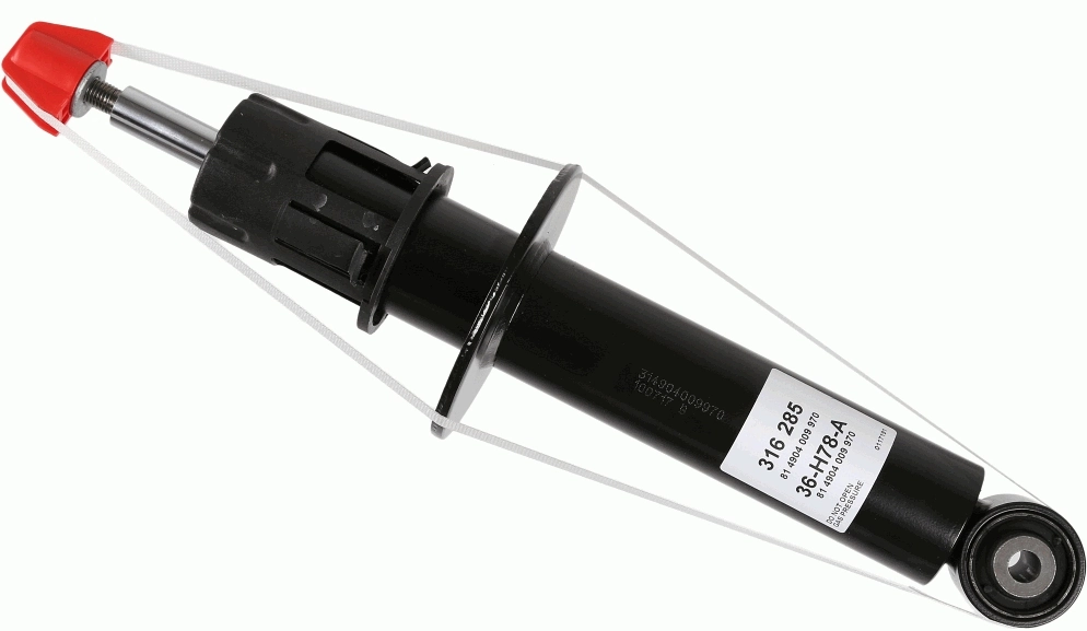 316285 Sachs