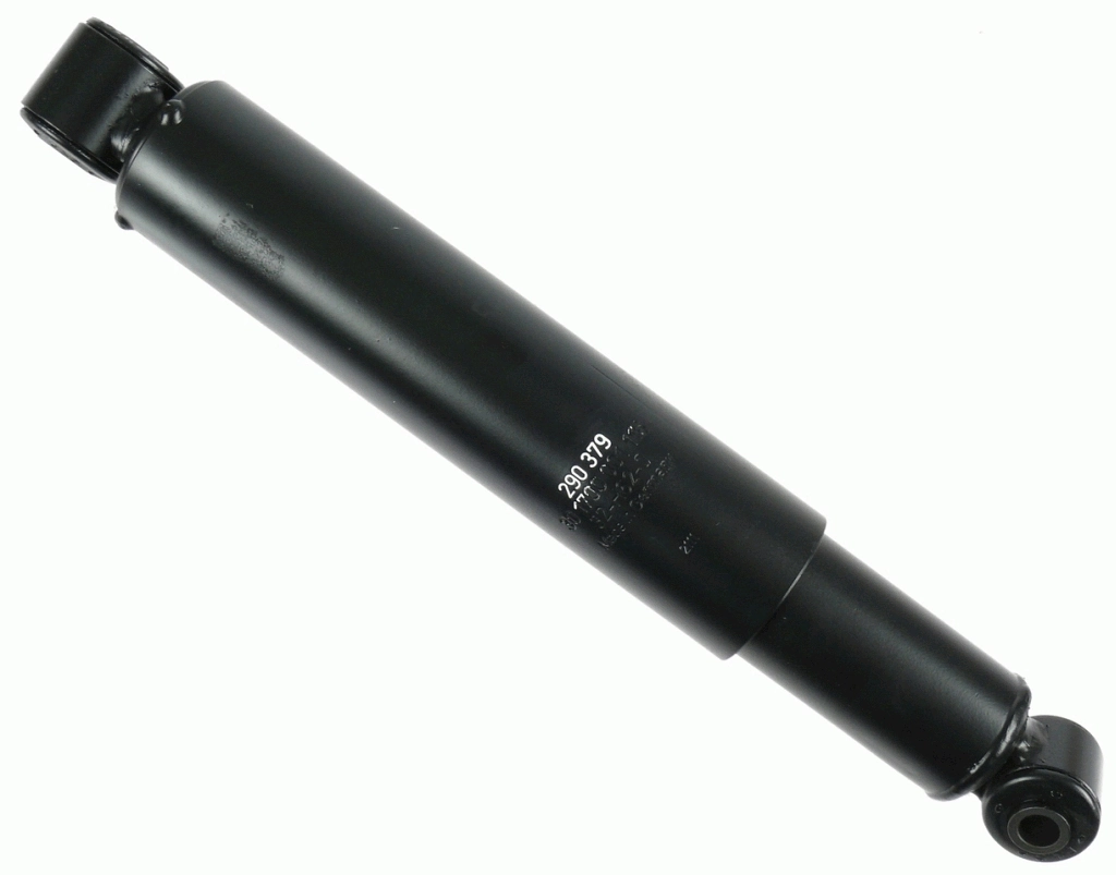 290379 Sachs