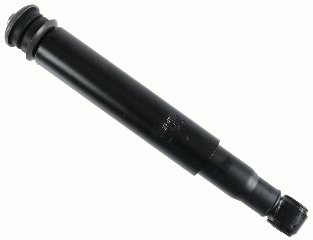 125857 Sachs