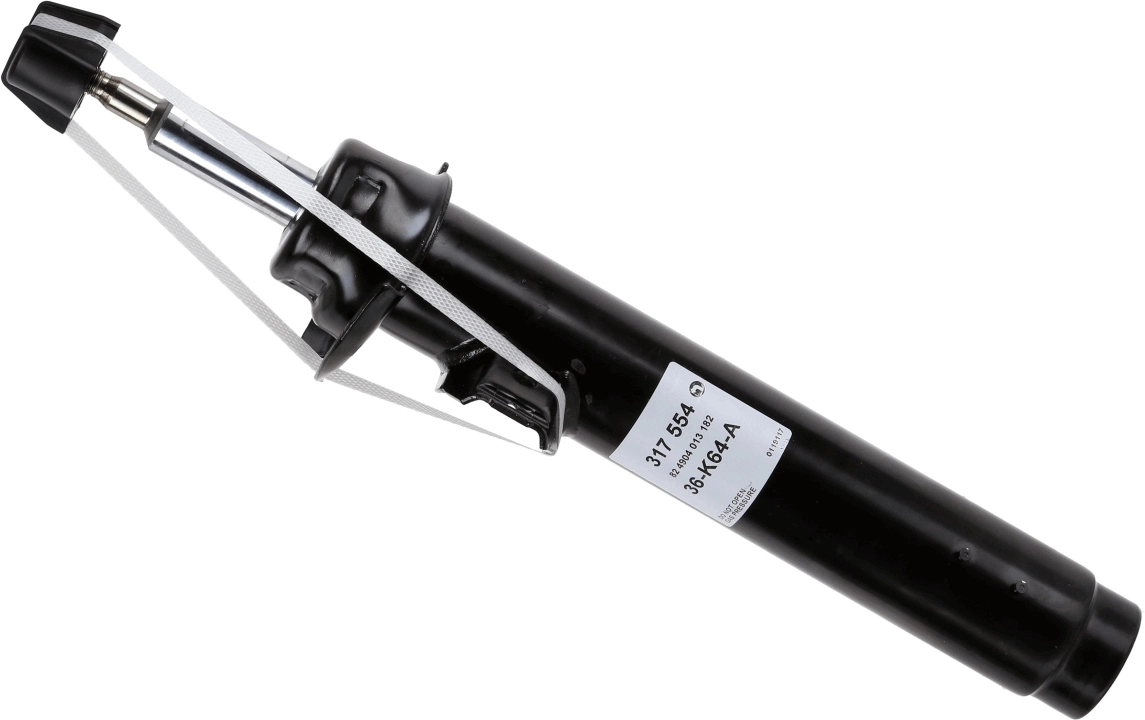 317554 Sachs