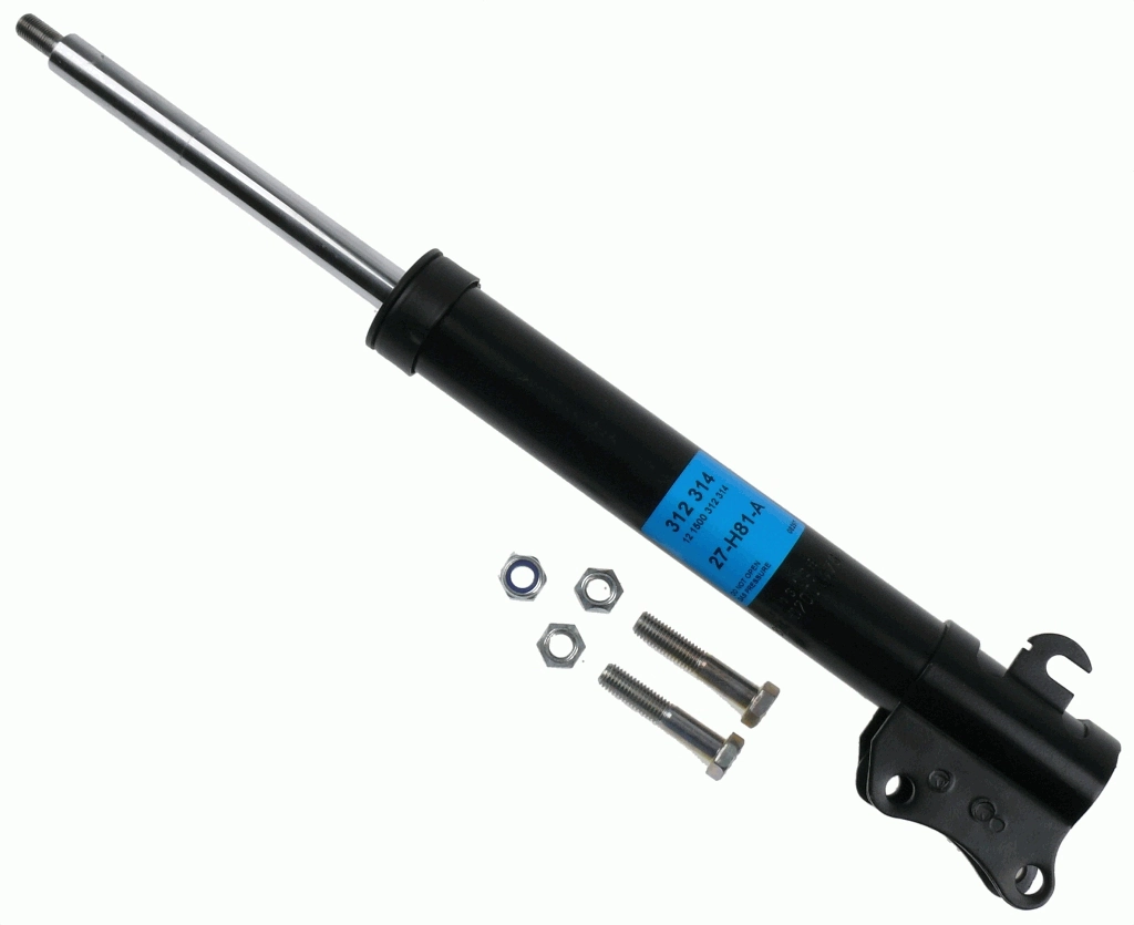 312314 Sachs