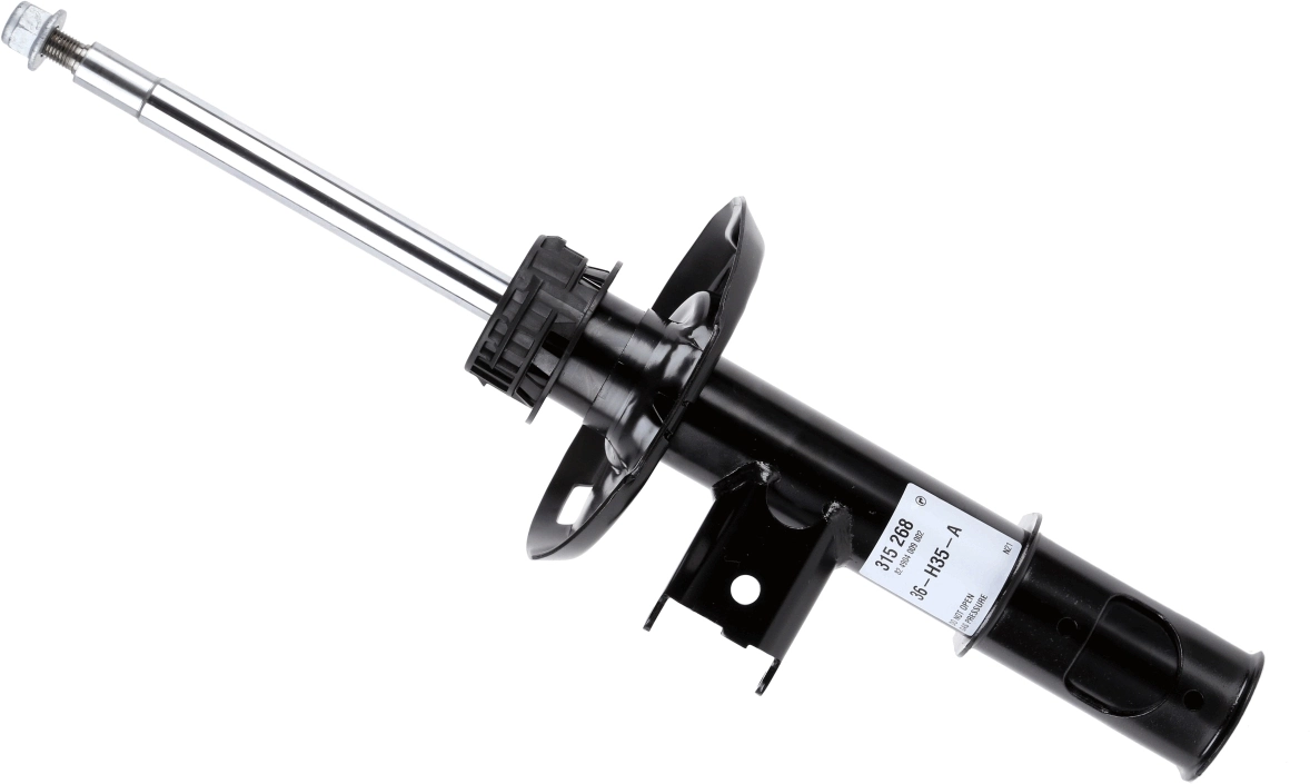 315268 Sachs