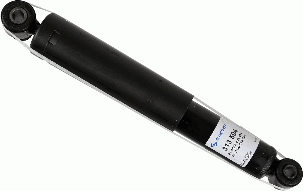 313504 Sachs