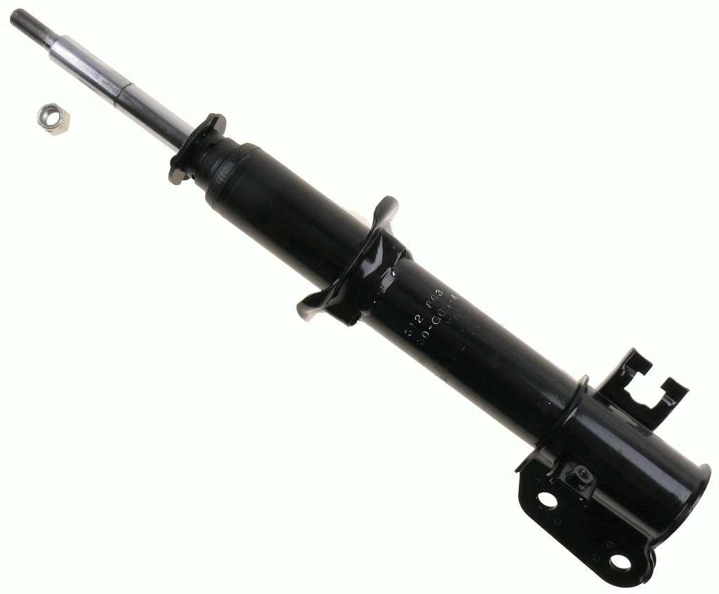 312863 Sachs