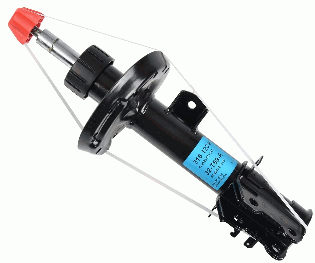 315123 Sachs