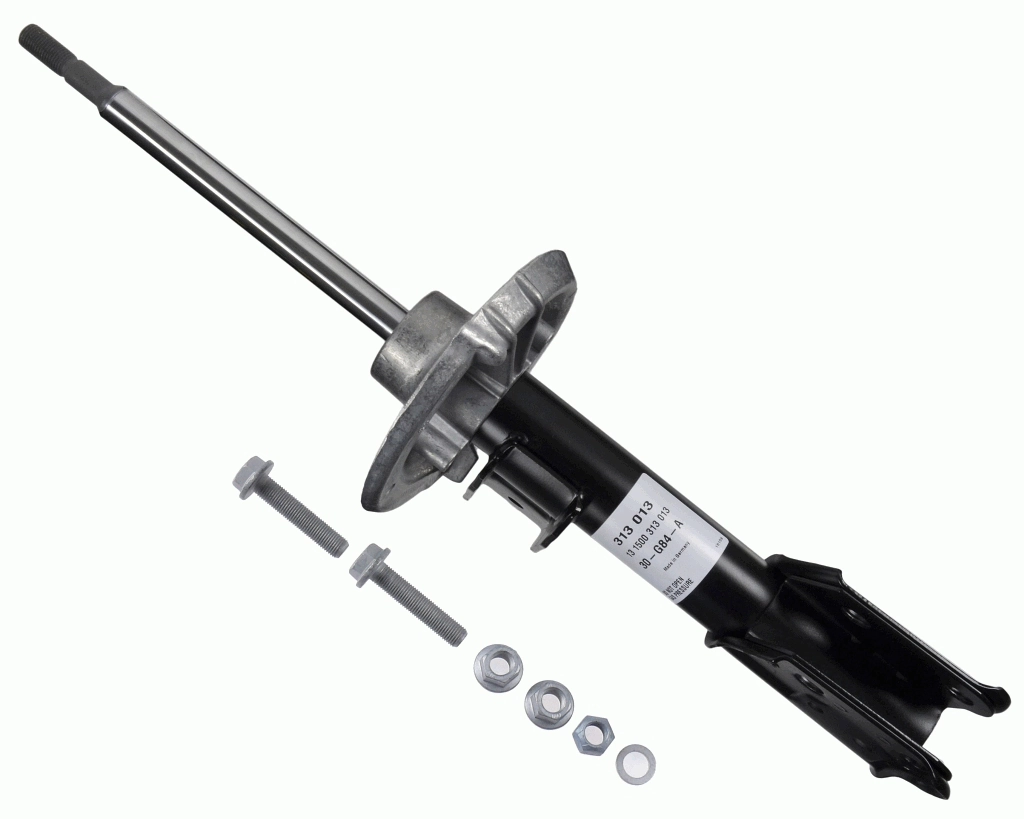 313013 Sachs