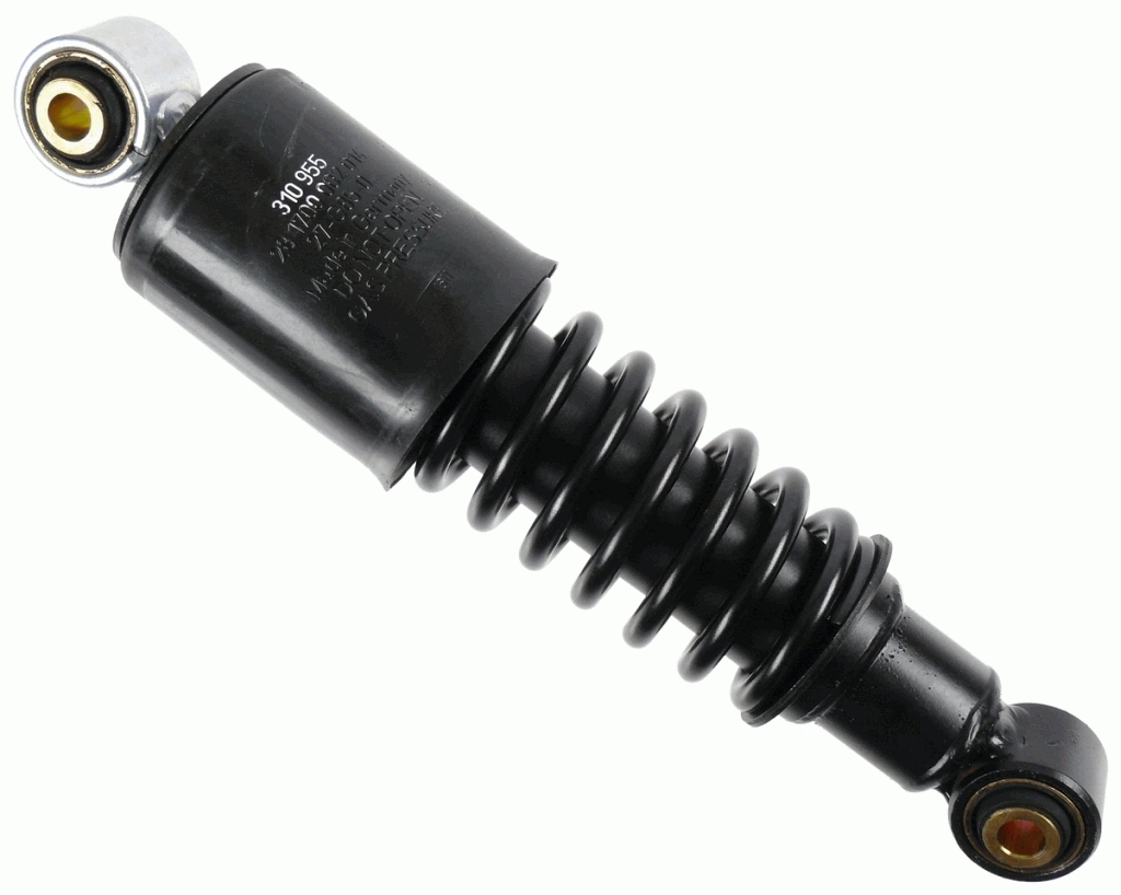 310955 Sachs