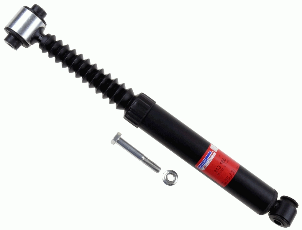 313166 Sachs