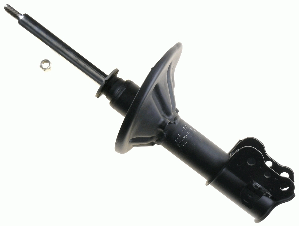 312163 Sachs