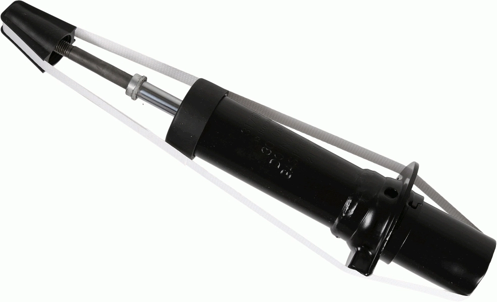 317613 Sachs