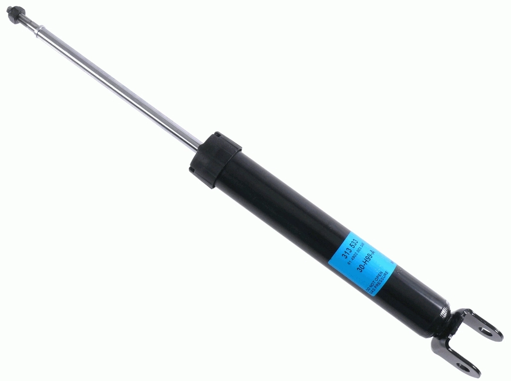 313533 Sachs