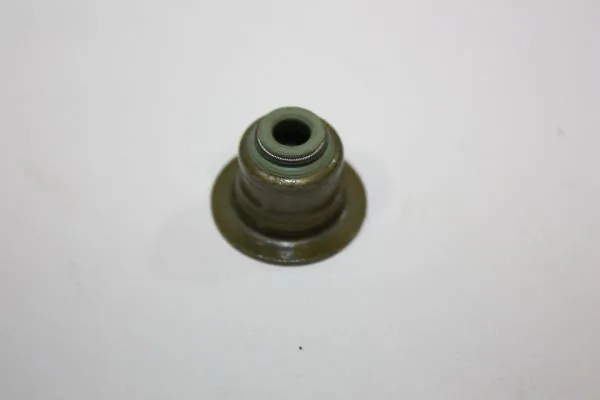 190010110 Dello/Automega