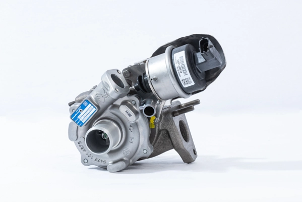 54309880000 Borg-Warner