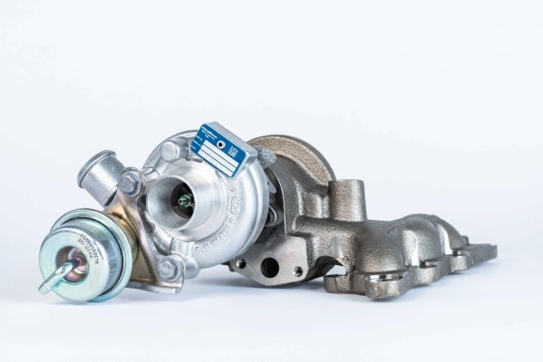 54319880010 Borg-Warner