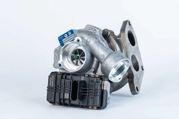 54359980060 Borg-Warner