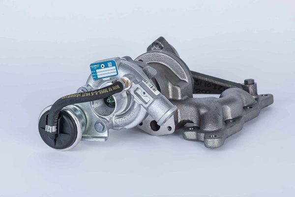 54319880002 Borg-Warner