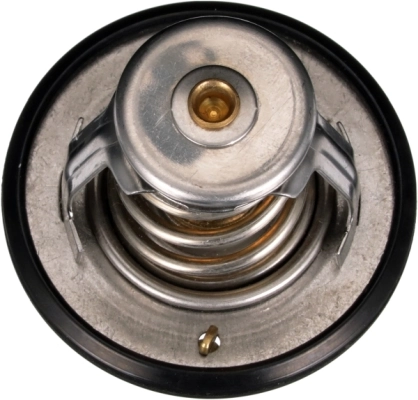 Termostato Gates TH56189G1 precio, desde 11,27 EUR