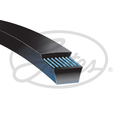 10X825 VAG Correa poly v