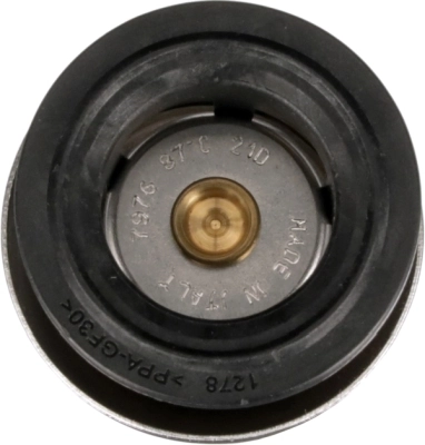 Comprar Termostato BMW X1  F48