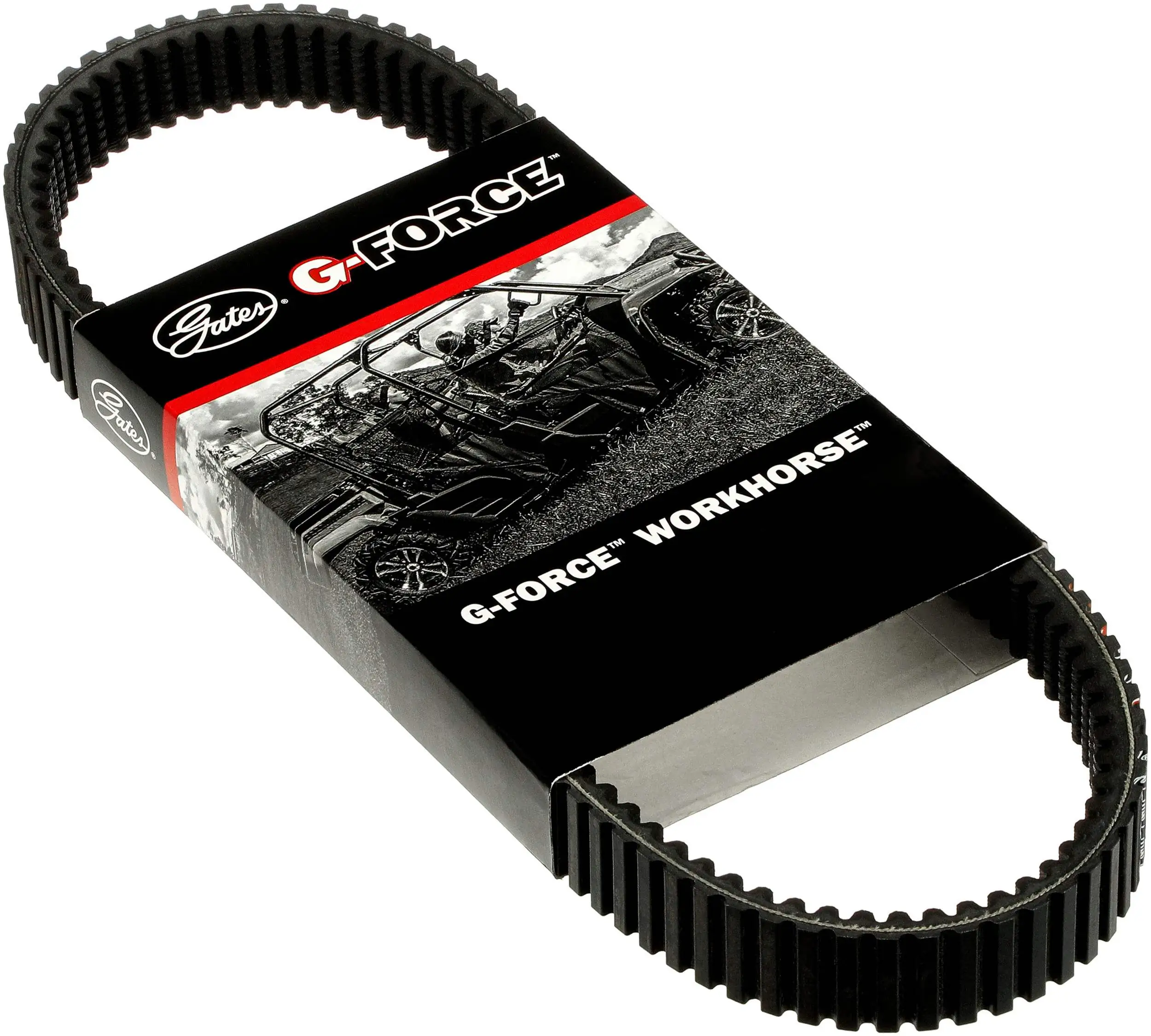 19G3982E Gates Correa de variador