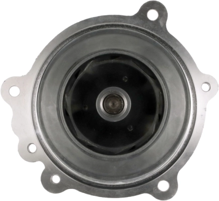 Bombeadora de agua Gates WP5021HD precio, desde 142,66 EUR