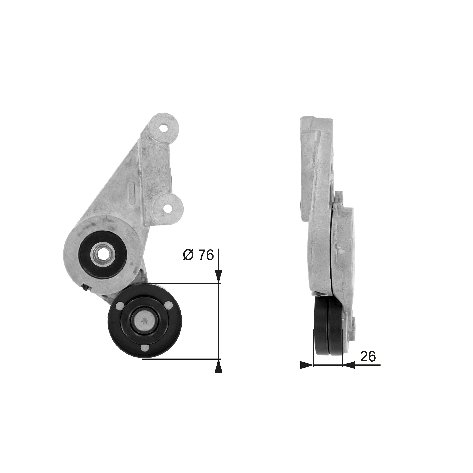 T38304 Gates