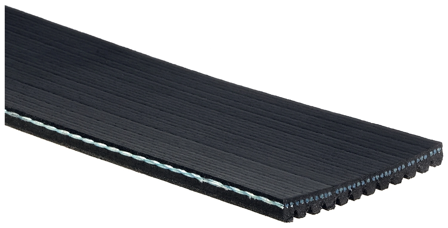 504022568 Iveco Correa poly v