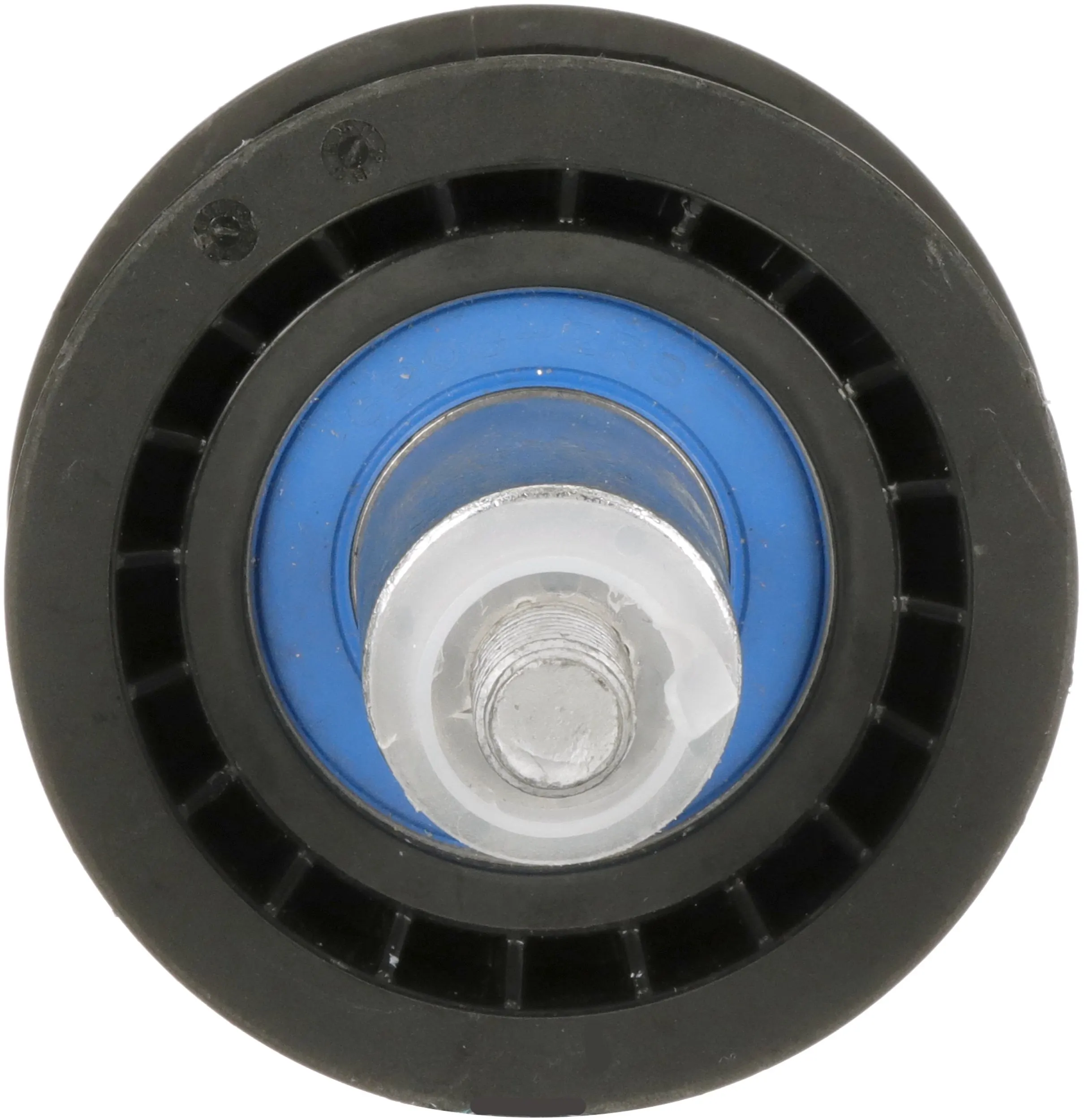 Comprar Polea correa distribución Seat Leon II 1P1