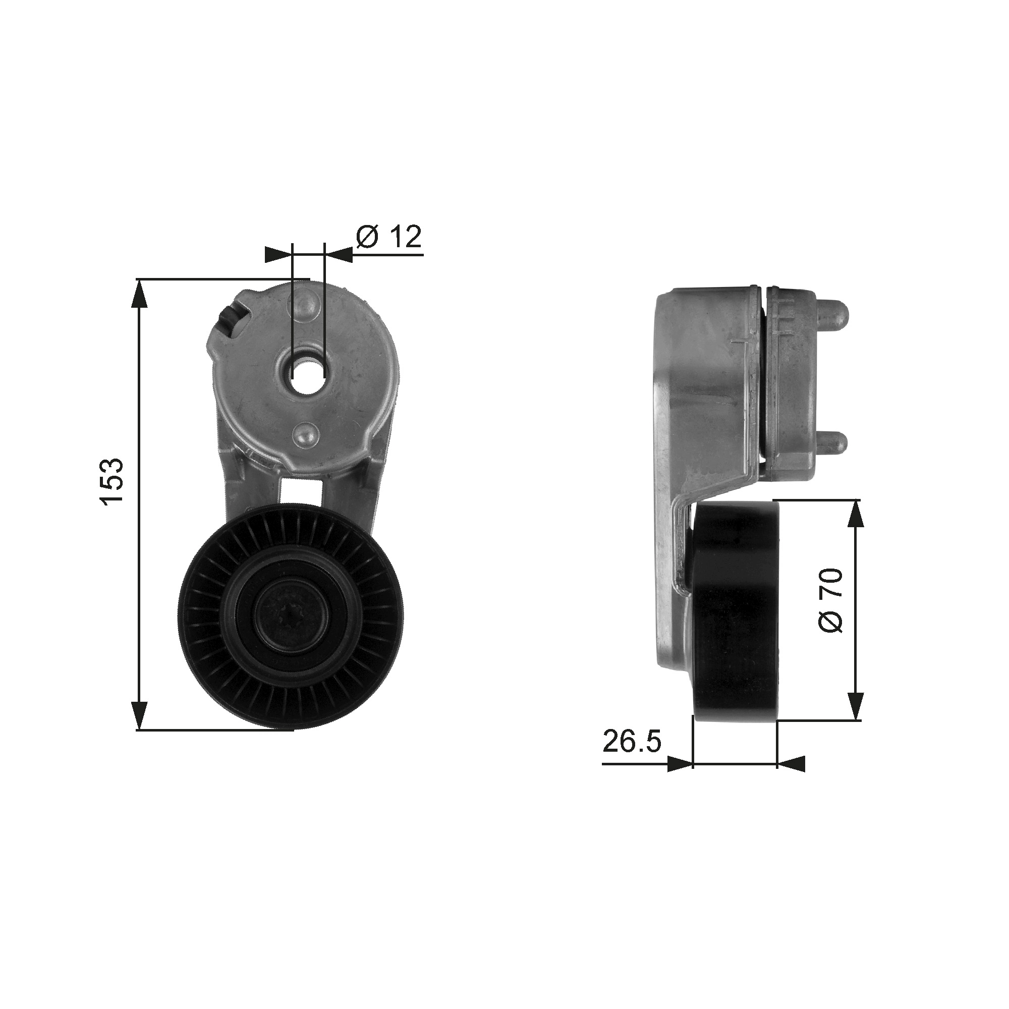 T38163 Gates