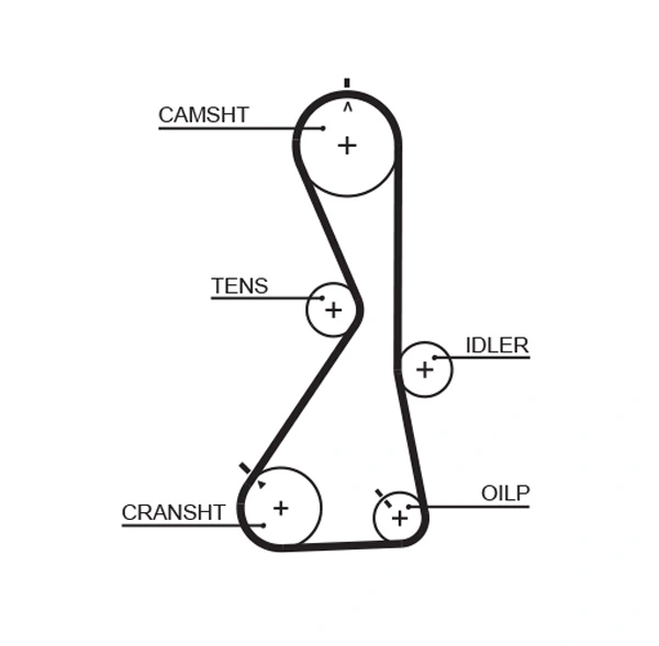 K015481XS Gates Kit correa de distribución