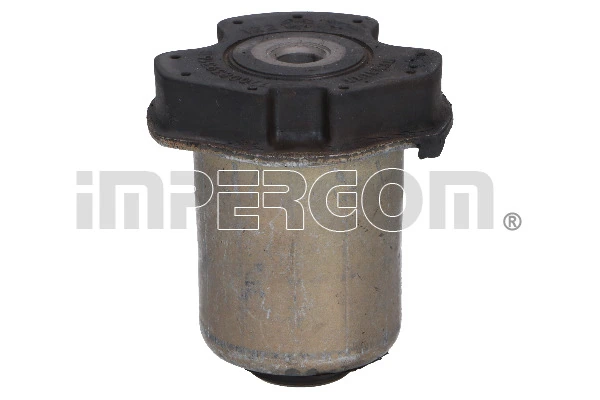 Silentblock del puente trasero Renault Clio  (1998-2008)