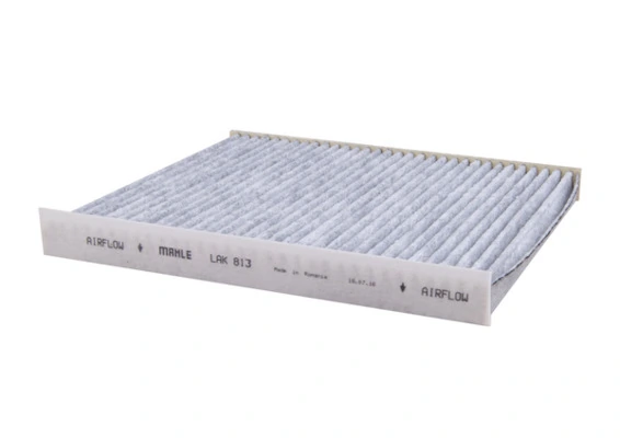 LAK813 Mahle Original Filtro antipolen