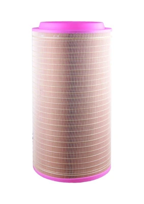 3841906 Volvo Filtro de aire de motor