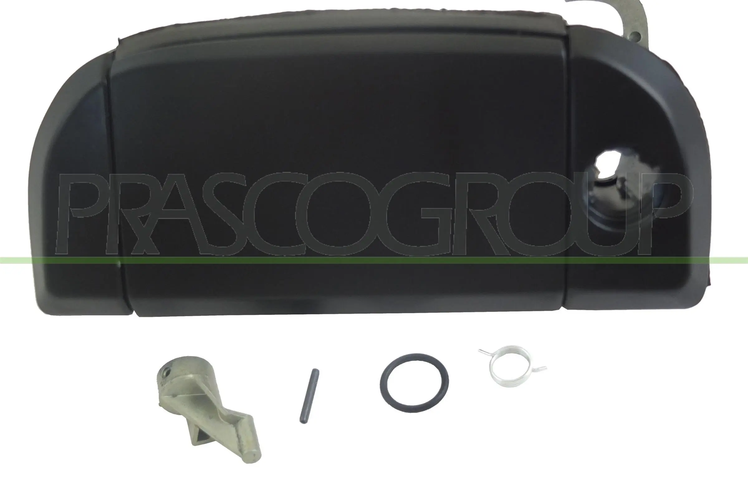 VG9138002 Prasco