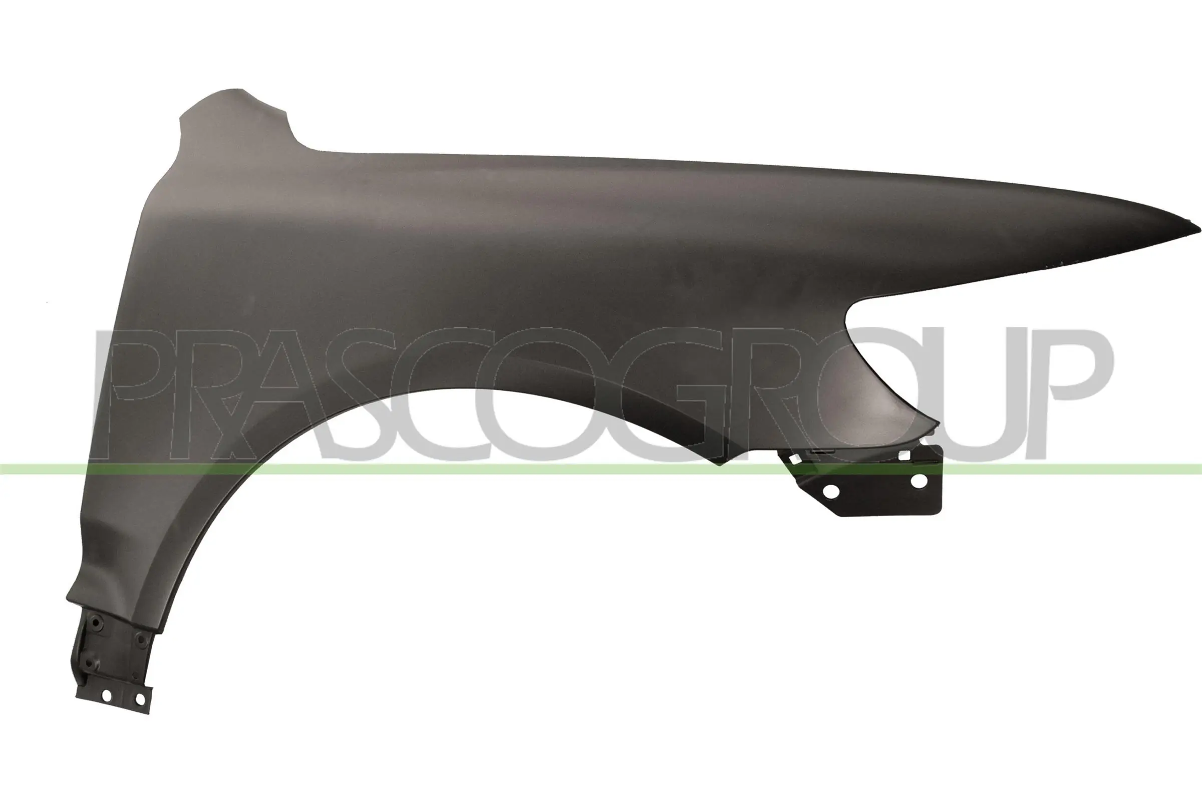 VG8173003 Prasco